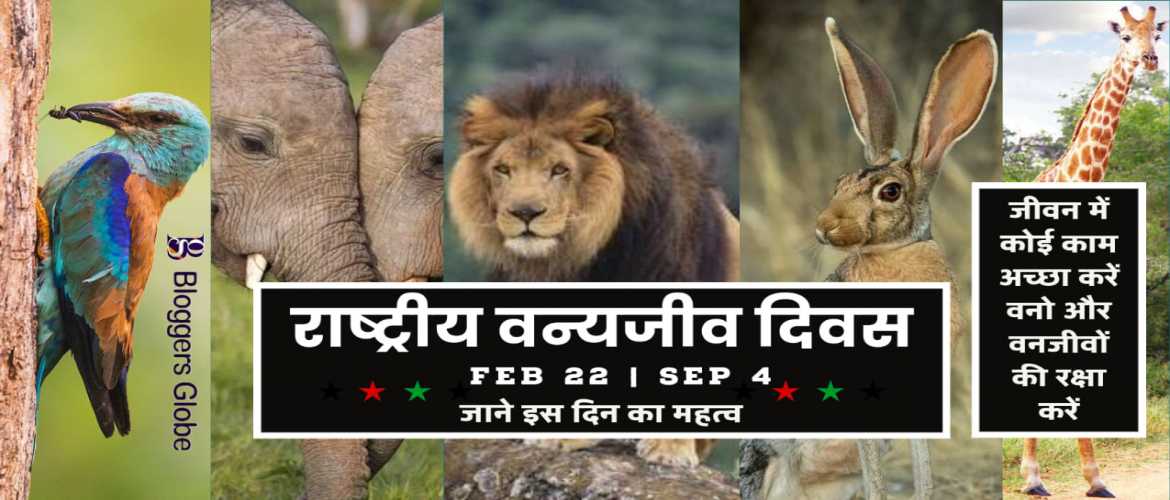 राष्ट्रीय वन्यजीव दिवस: आखिर क्यों है ये महत्वपूर्ण दिन? जानिए कैसे हुई थी इसकी शुरुआत