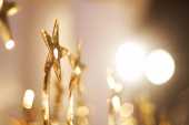 Star Screen Awards 2019 Winners' List
