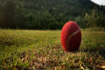 Cricket World Cup 2019 Insights