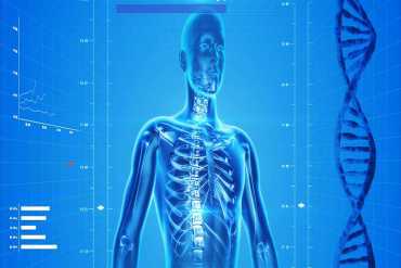 Some Amazing Facts about the Human Body