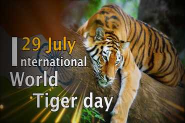 International Tiger Day