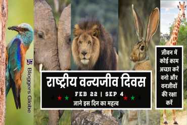 राष्ट्रीय वन्यजीव दिवस: आखिर क्यों है ये महत्वपूर्ण दिन? जानिए कैसे हुई थी इसकी शुरुआत